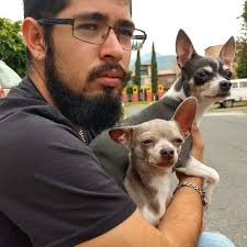 En el cielo de los perritos ya está mi bebecito 😥