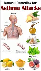 15 Diy Home Remedies For Asthma Natural Asthma Remedies Home Remedies For Asthma Asthma