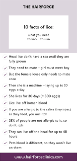 Baby lice or nymphs are about the size of a pinhead when they hatch and quickly mature into adult lice in about seven days. A Head Lice Information Guide For Parents The Hairforce