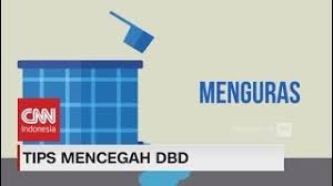 Pencegahan demam berdarah dengue hingga saat ini belum ada vaksin yang dapat menangkal demam berdarah. 10 Cara Mencegah Demam Berdarah Denggi Dhf Di Rumah