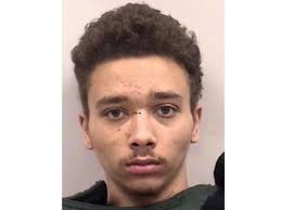 Colorado Springs man, 20, pleads insanity in killings of siblings, 5 and 7 