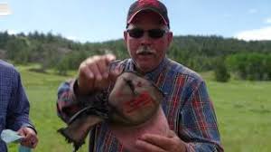 Jack Corson: Lightning Strike Survivor