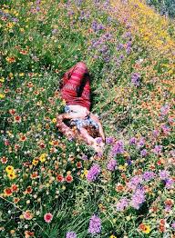 Bohemian Style Wild Flowers Photography Flowers