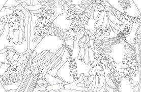 priceless developpez votre creativite avec le livre de coloriage l artiste jenny haslimeier in auckland nouvelle zelande mandala zen