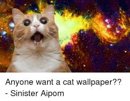 Replace your new tab with the nyan cat meme custom page, with bookmarks, apps, games and nyan cat pride wallpaper. Cat Wallpaper Meme