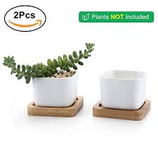 Store spices, dried herbs, nuts and other condiments in this bpa free food container that comes with a bamboo lid. T4u 2 Inch Small White Succulent Planter Pots With Bamboo Tray Square Set Of 2 Ceramic Succulent Air Plant Flower Pots Cactus Faux Plants Containers White Modern Decor For Home And Office Pricepulse