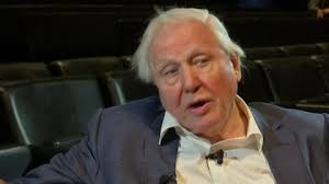 Ballroom: INT1 Ruth Denning holding her 'BAFTA' award2 Guest ? and... Stock  Footage Video