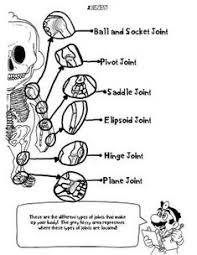 Showing 12 coloring pages related to medical. 10 Medical Coloring Pages Ideas Coloring Pages Anatomy Coloring Book Coloring Books