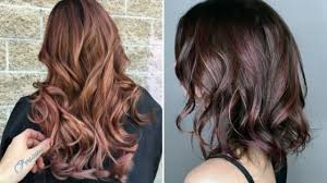 Hair color comes in ten levels, and half of them are in the dark family, ranging from level 1: New Chocolate Mauve Color For Brown Hair Styling 2020 2021