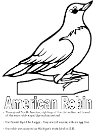 Click the michigan state bird coloring pages to view printable version or color it online (compatible with ipad and android tablets). American Robin Coloring Page