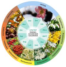 Der Phanologische Kalender Ein Praktischer Gartenkalender Gartenkalender Kalender Garten