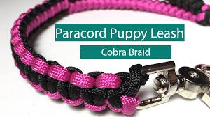 In short i found all of. Diy Paracord Puppy Leash Cobra Braid Paw Palz