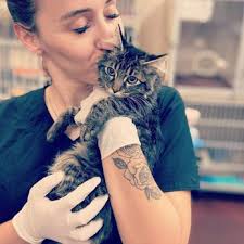 TOP 10 BEST Animal Hospital in Oklahoma City, OK