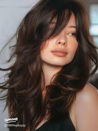 20 top What Are The Different Stages of A Butterflys Life Cycle ideas in  2024