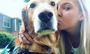 There is no agency that registers emotional support dogs. Emotional Support Animal Laws You Should Know Esa Doctors