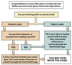 Ohio Hunting Seasons 2024-25: Dates, Regulations, Licenses