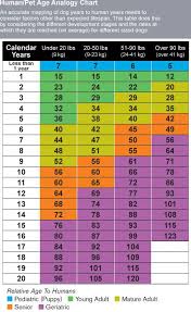 age chart dogs pet dogs dog years chart