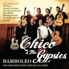Chico The Gypsies Feat Dj Otzi Hey Baby Lyrics Musixmatch