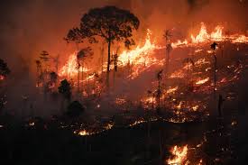 Amazônia bate recorde de queimadas em agosto