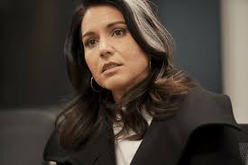 How Scared of November Are the Democrats? They Fear Populist Tulsi Gabbard