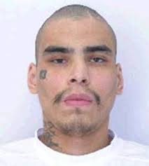Winnipeg police seek potentially dangerous offender