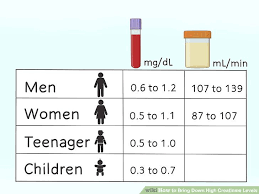 6 ways to bring down high creatinine levels wikihow