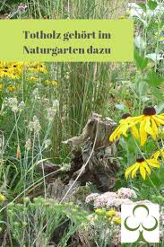 Der Naturgarten Naturgarten Garten Naturnaher Garten