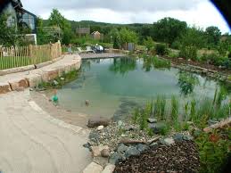 Natural Swimming Pool With A Beach Entrance Natural Swimming Ponds Swimming Pond Natural Swimming Pools