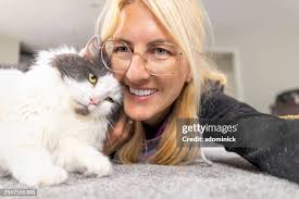 1,687 Long Haired Grey Cat Stock Photos, High-Res Pictures, and Images