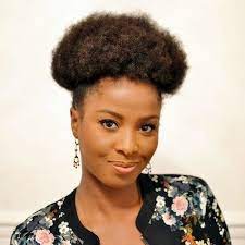 40 Cute Updos For Natural Hair The Right Hairstyles For You Natural Hair Updo Natural Hair Styles Hair Puff