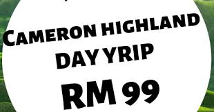 Rose valley, strawberry farm, butterfly farm, boh tea plantation, honey bee farm, market square, buddhist temple. Pakej Travel Bajet Cameron Highland Day Trip 2019