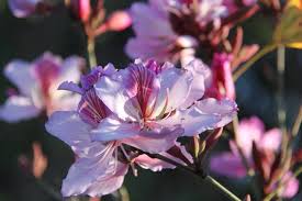 Image credit: Easyscape via unsplash