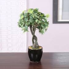 Plastic artificial plant, for decoration purpose ₹ 850. Buy Artificial Plants Tree Online In India Upto 55 Off Wooden Street