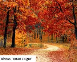 Gambar flora dan fauna hutan gugur. 7 Jenis Bioma Di Dunia Idschool