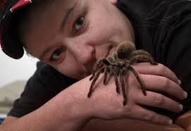 Tarantula fan hopes to rescue some
