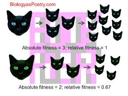 Absolute Fitness Biology As Poetry