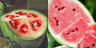 Here S What 5 Popular Fruits And Vegetables Looked Like Before People Domesticated Them Fruit Fruits And Vegetables Watermelon
