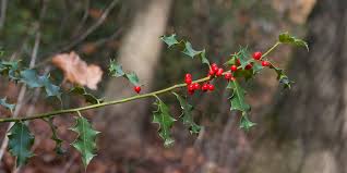 Erbaut mitte der 60er jahre istder dom bis heute der größte moderne sakralbau europas. Rundwanderung Bei Velbert Wandern Reisen Mehr