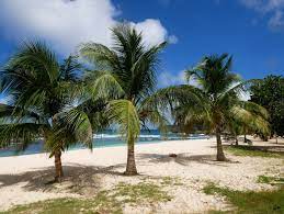 Find things to do near you. Die Schonsten Strande Auf Guadeloupe
