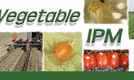 Search our website for available business names and resources to help you through the filing process. Pest Management Cooperative Extension The University Of Arizona