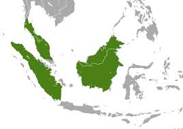Looking to download safe free latest software now. Games Masak Masak Dalam Bahasa Melayu Surah Al Mulk Terjemahan Bahasa Melayu Gameplay Sederhana Tapi Tetap Seru Sang Hook