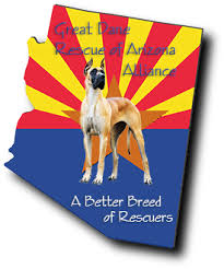 Открыть страницу «pound puppy rescue» на facebook. Great Dane Rescue Of Az Alliance