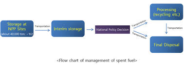 Provision Of Solutions For Safe Management Of Spent Fuel