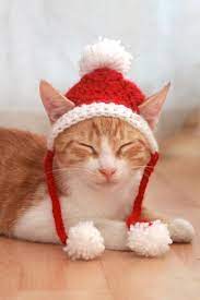 Santa Cat Hat Crochet Pattern Fun And Festive Christmas Etsy Cat Hat Pattern Crochet Cat Hat Christmas Cats