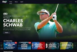 This is very good news for sports fans like you and me. Fox Sports Launches Beta Version Of Sports Streaming Service