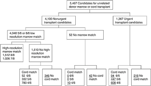 4 umbilical cord blood banks and banking cord blood