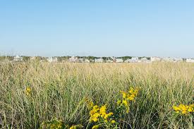 We did not find results for: Cape Cod By Kristin Duvall Cape Cod New England