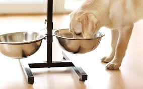 Top 10 worst dog foods. The Best Inexpensive Dog Food Great Nutrition Low Prices