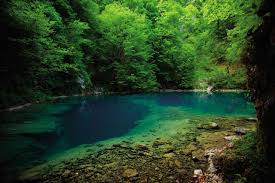 Nacionalni park risnjak, smješten u gorskom kotaru (), osnovan je 1953. Risnjak Nationalpark