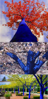 Tree trunk and branches define the silhouette and shape of trees. 16 Painted Trees Ideas Tree Trunks Tree Trunk Painting Tree Painting